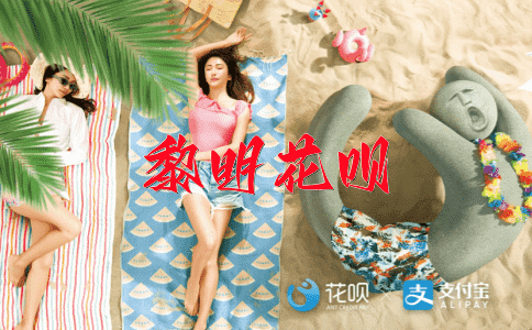 纵横捭阖花呗